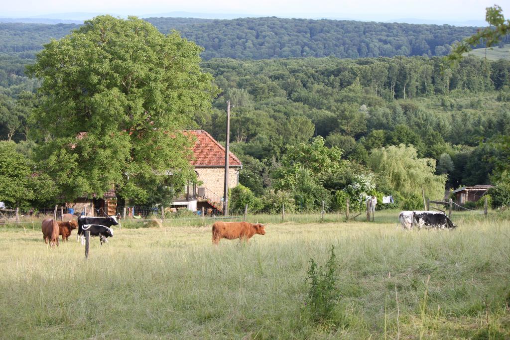 فيلا Ferme Pedagogique " L'Bout D'Chemin" Genevreuille المظهر الخارجي الصورة